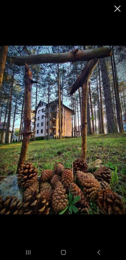 Apartman Pavle Zlatibor Eksteriør bilde