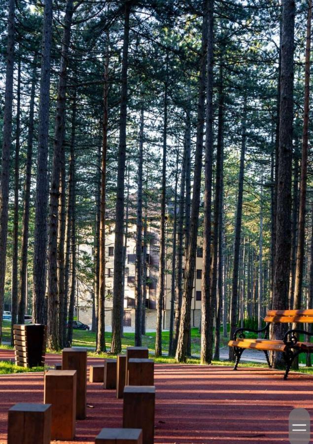 Apartman Pavle Zlatibor Eksteriør bilde