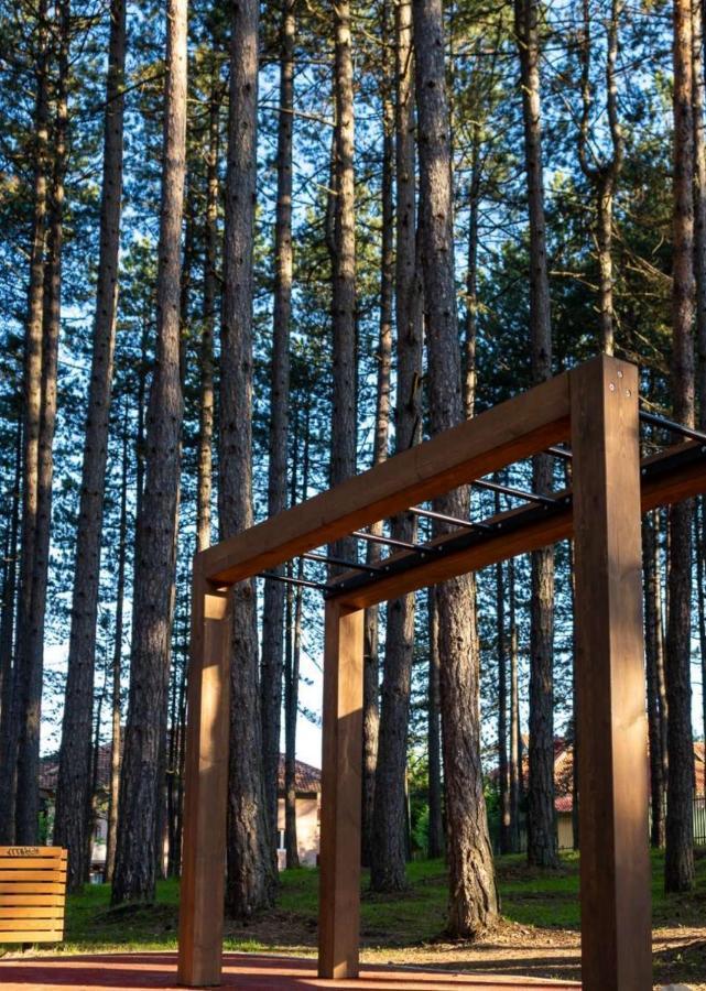 Apartman Pavle Zlatibor Eksteriør bilde