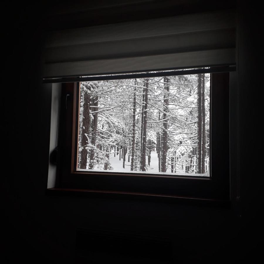 Apartman Pavle Zlatibor Eksteriør bilde